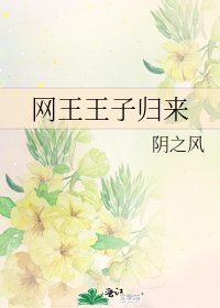 网王王子归来