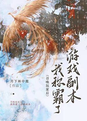 召唤惋家,称霸副本